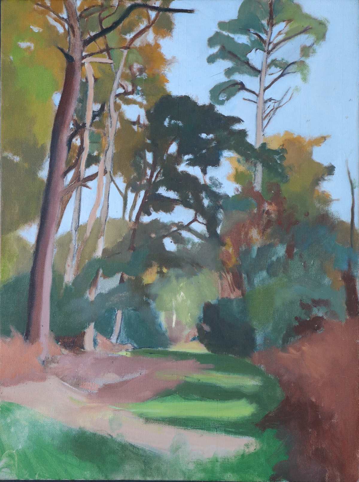 Hascombe_Hill_Trees_in_Autumn