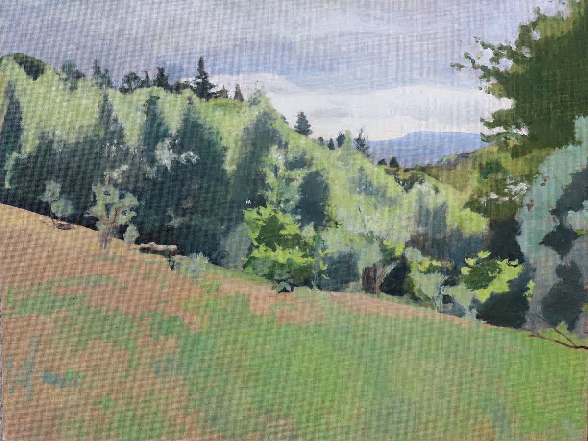 Hascombe_Hillside_in_June