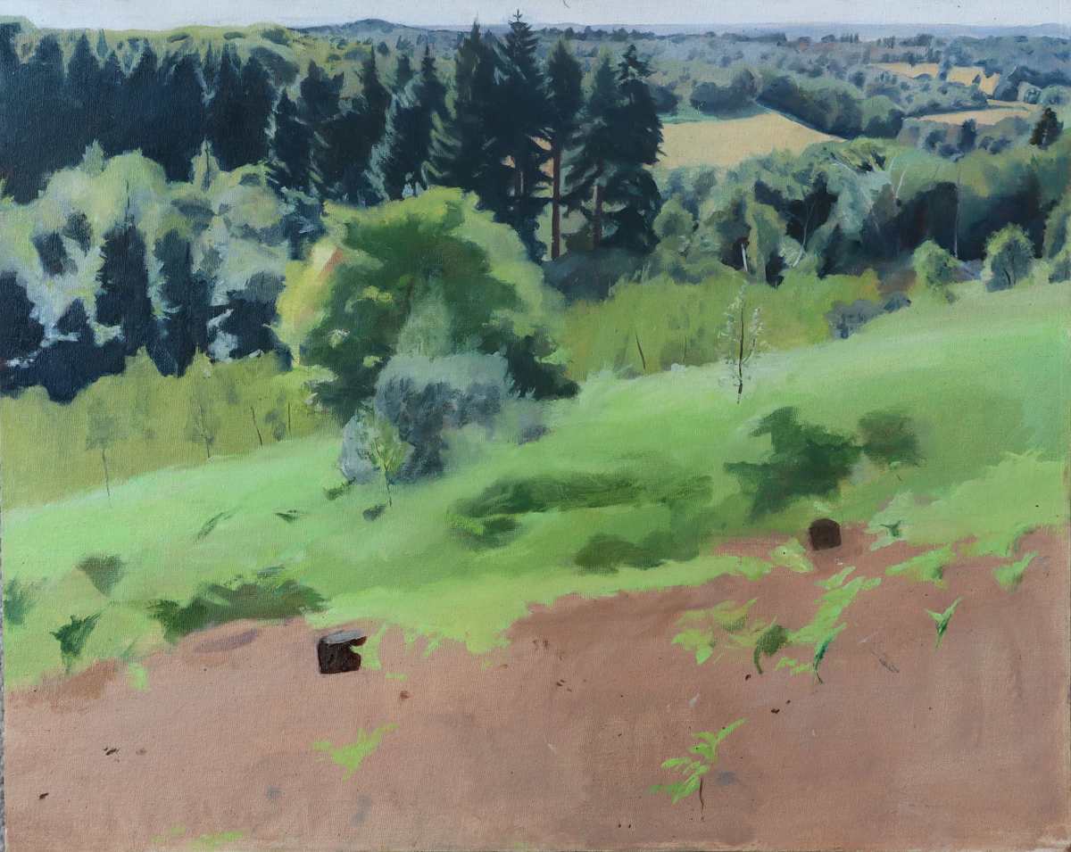 The_Other_Side_of_Hascombe_Hill