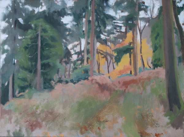 Autumn_Woods