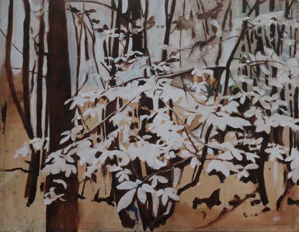 Chestnut_Forest