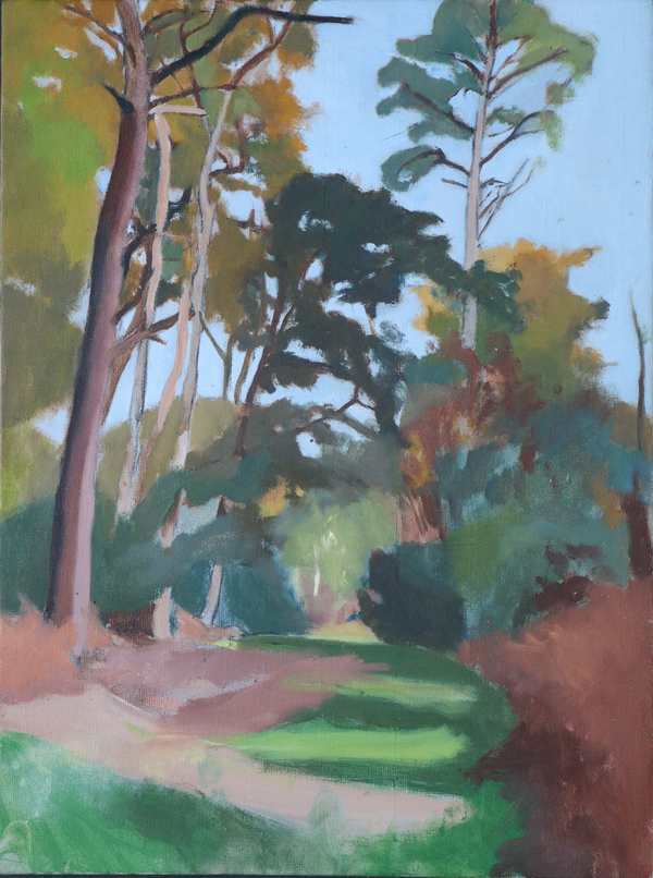 Hascombe_Hill_Trees_In_Autumn