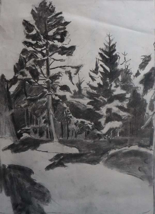 Tree_Study