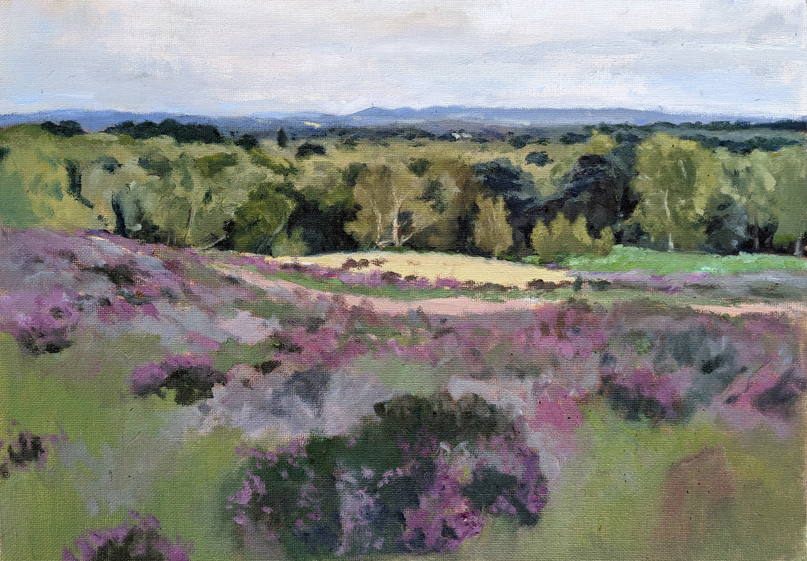 View_At_Puttenham_Common