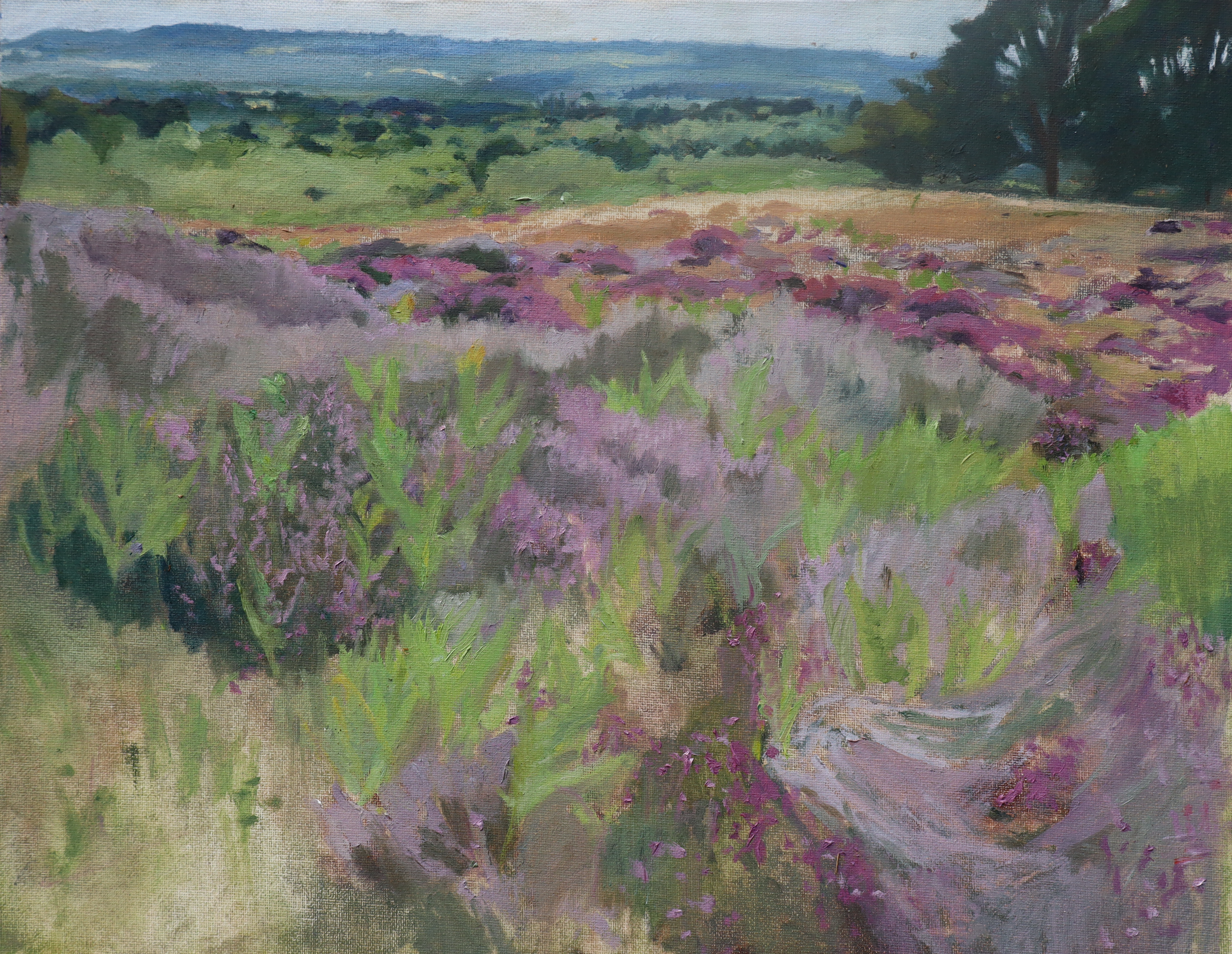 View_At_Puttenham_Over_The_Heather
